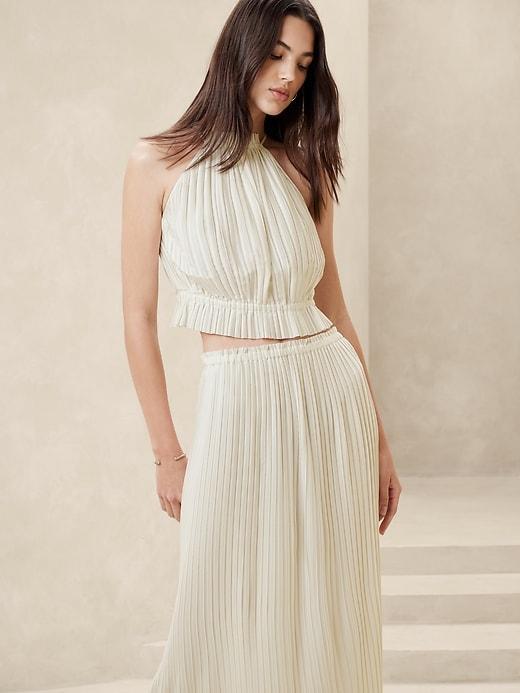 Pleated Maxi Skirt Product Image