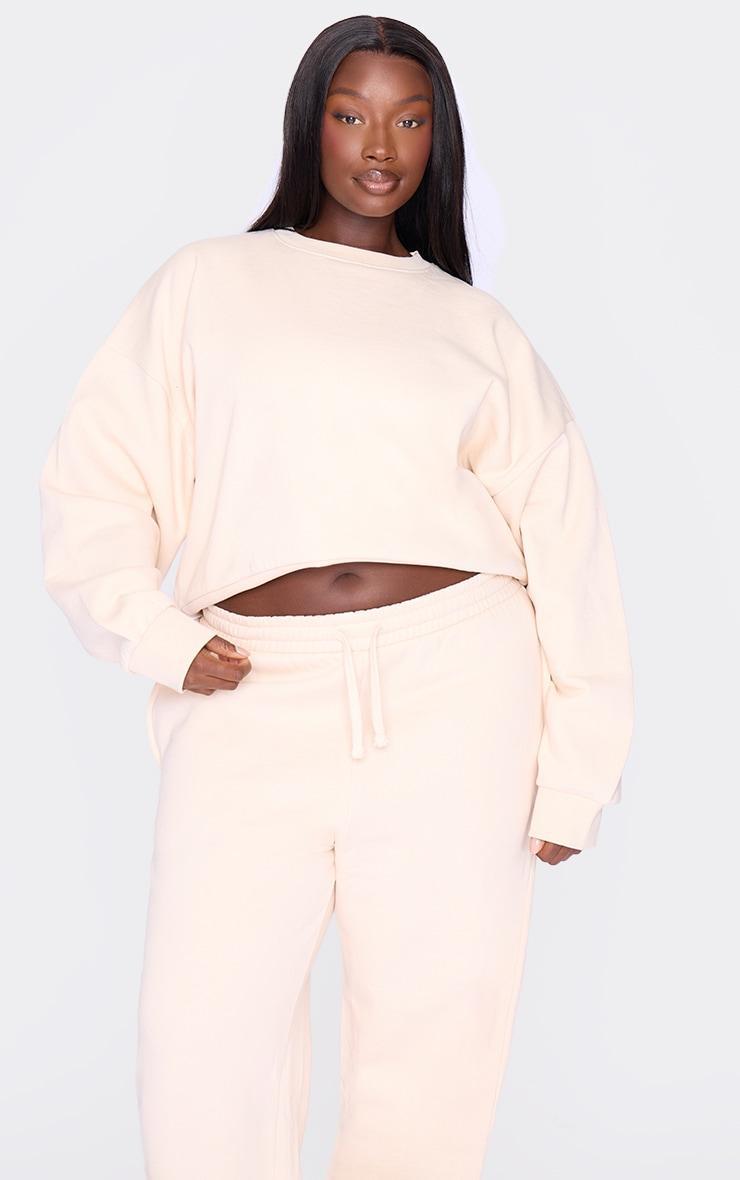 Plus Ecru Premium Basic Crew Neck Crop Sweatshirt Product Image