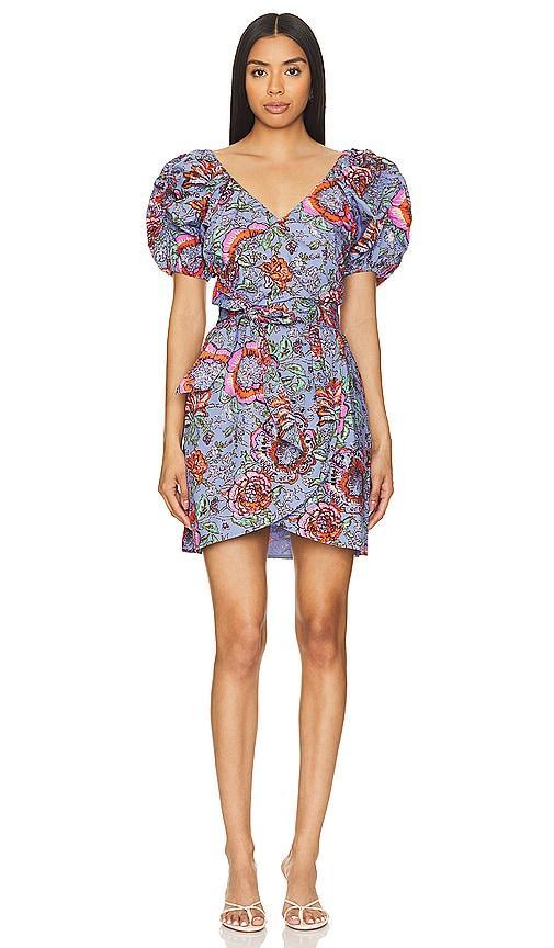 Edwina Mini Dress Product Image