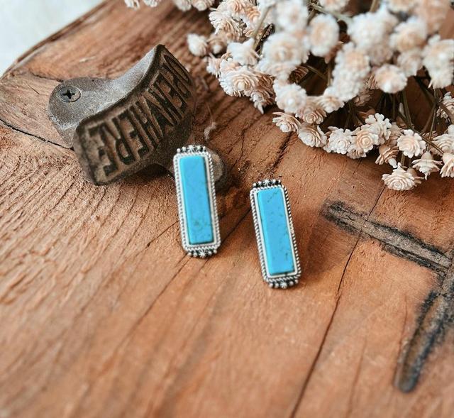 Turquoise Stone Bar Post Earrings Product Image