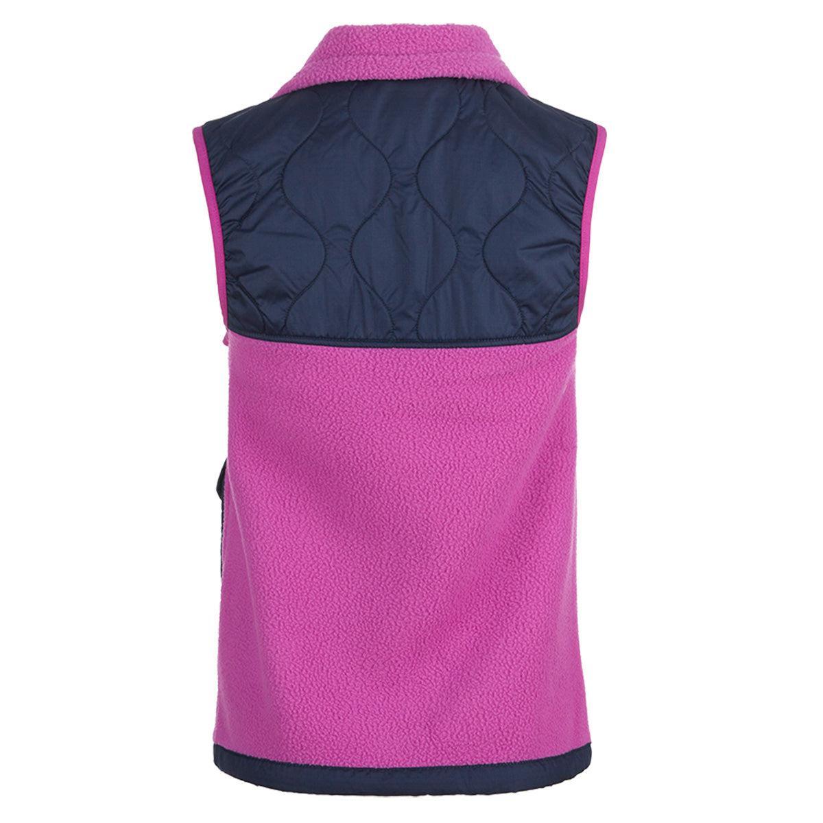 The North Face Women's Royal Arch Vest Female Product Image