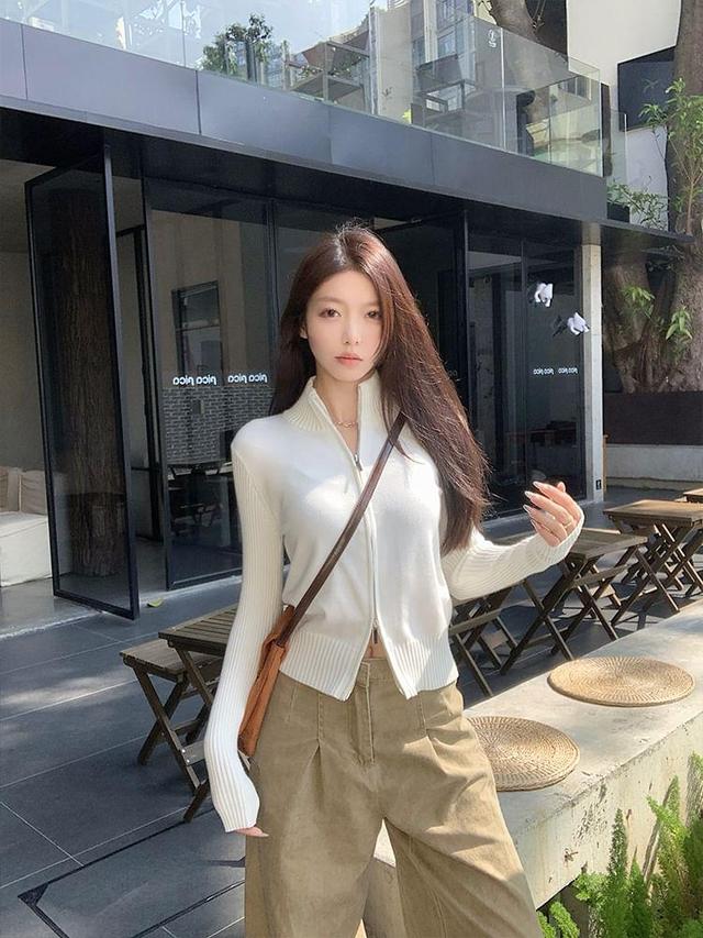 Stand Collar Plain Zip-Up Crop Cardigan Product Image