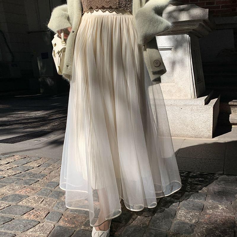 High Waist Plain Mesh Maxi A-Line Skirt Product Image