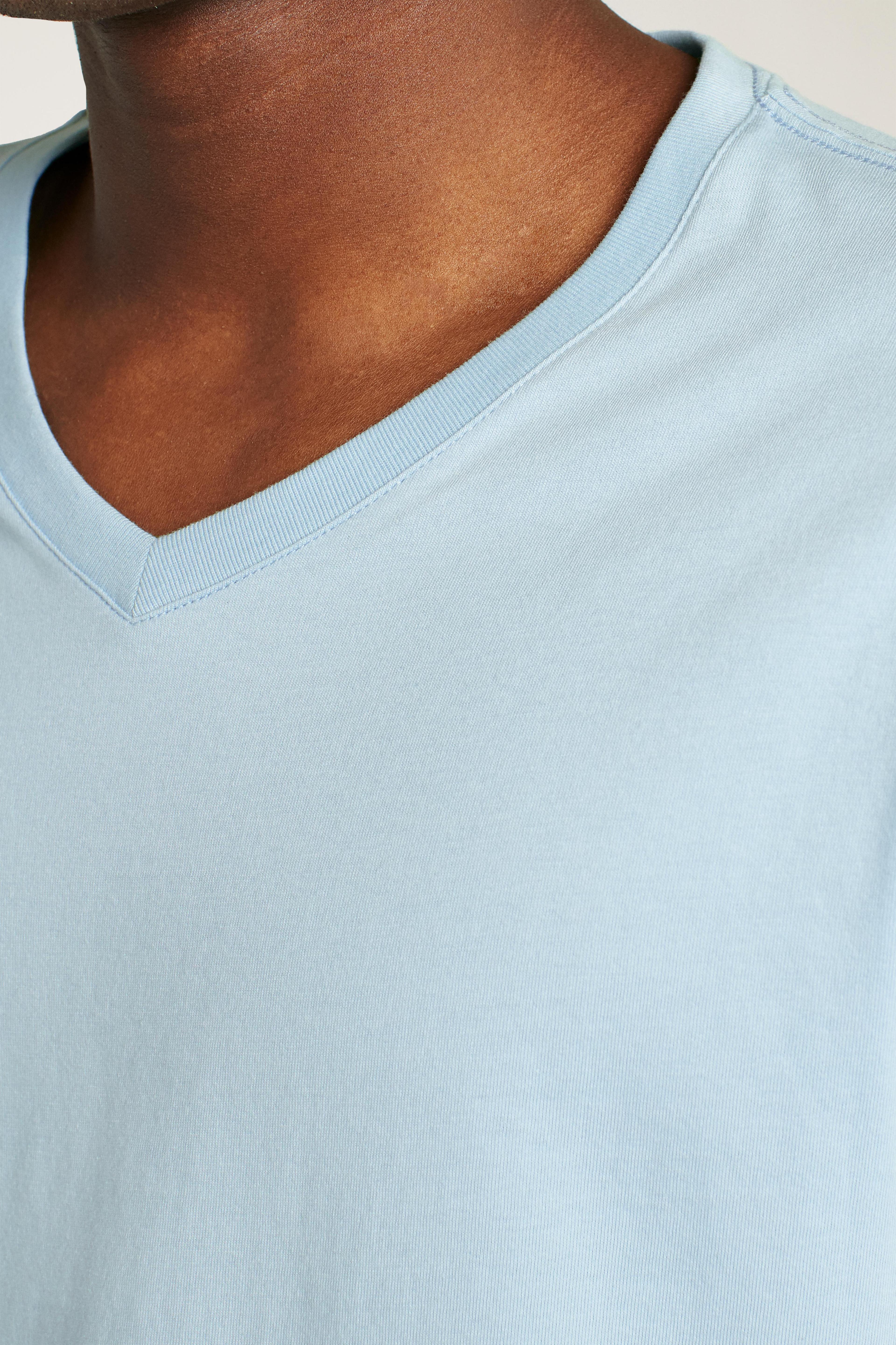 Organic Cotton V-Neck Tee Product Image