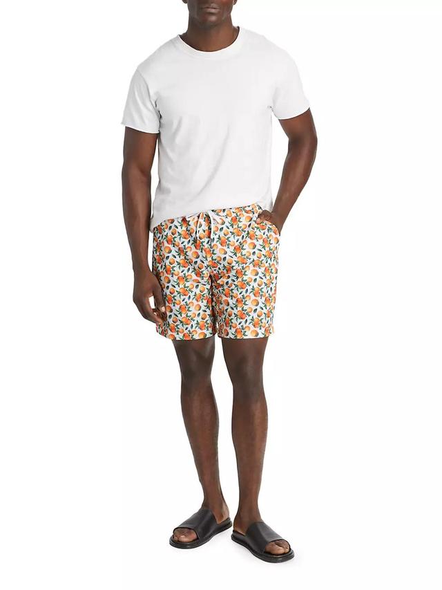 COLLECTION Oranges Swim Shorts Product Image