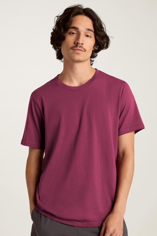 Organic Cotton Tee Product Image