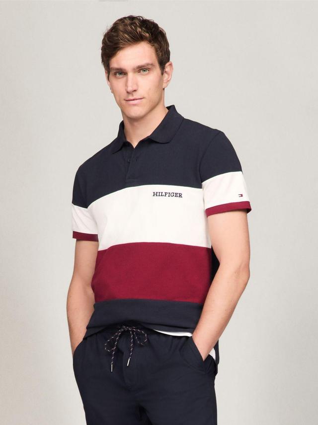 Tommy Hilfiger Men's Regular Fit Colorblock Polo Product Image