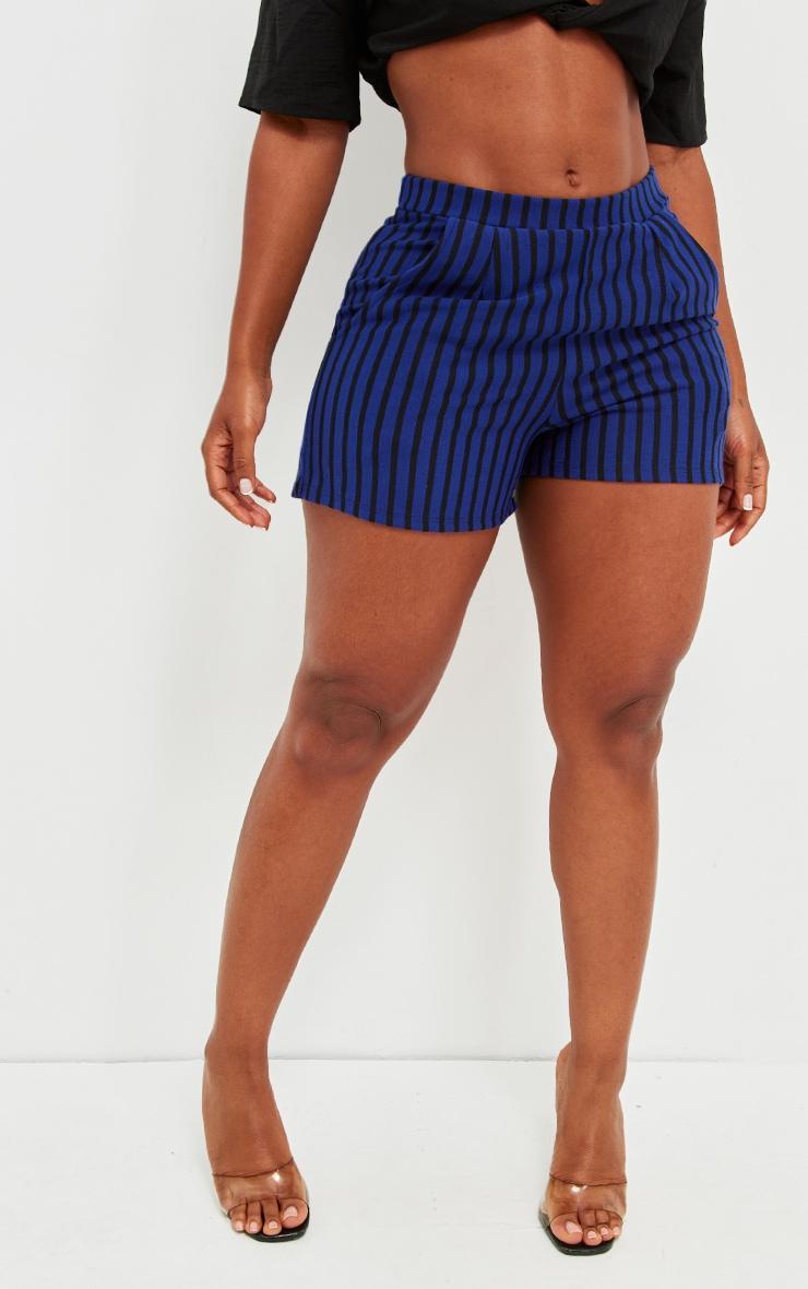 Shape Blue Striped Runner Shorts Product Image