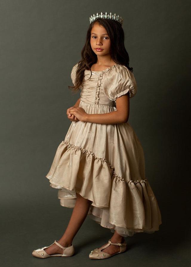 Mathilda Petticoat Dress in Champagne Iridescent Product Image