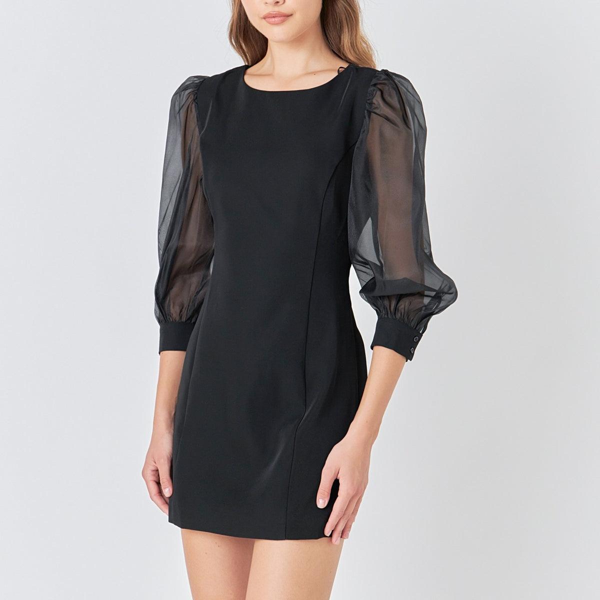 Organza Slv Mini Dress product image