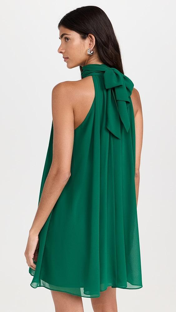 alice + olivia Corine Halter Tie Neck Trapeze Mini Dress | Shopbop Product Image