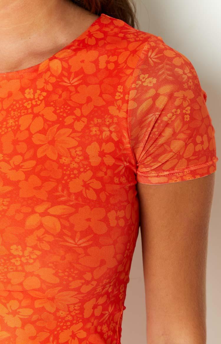 Jodie Orange Floral Mesh Mini Dress Product Image