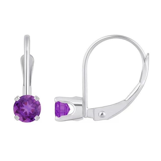 Celebration Gems 14k White Gold Gemstone Drop Earrings, Womens, Purple Product Image