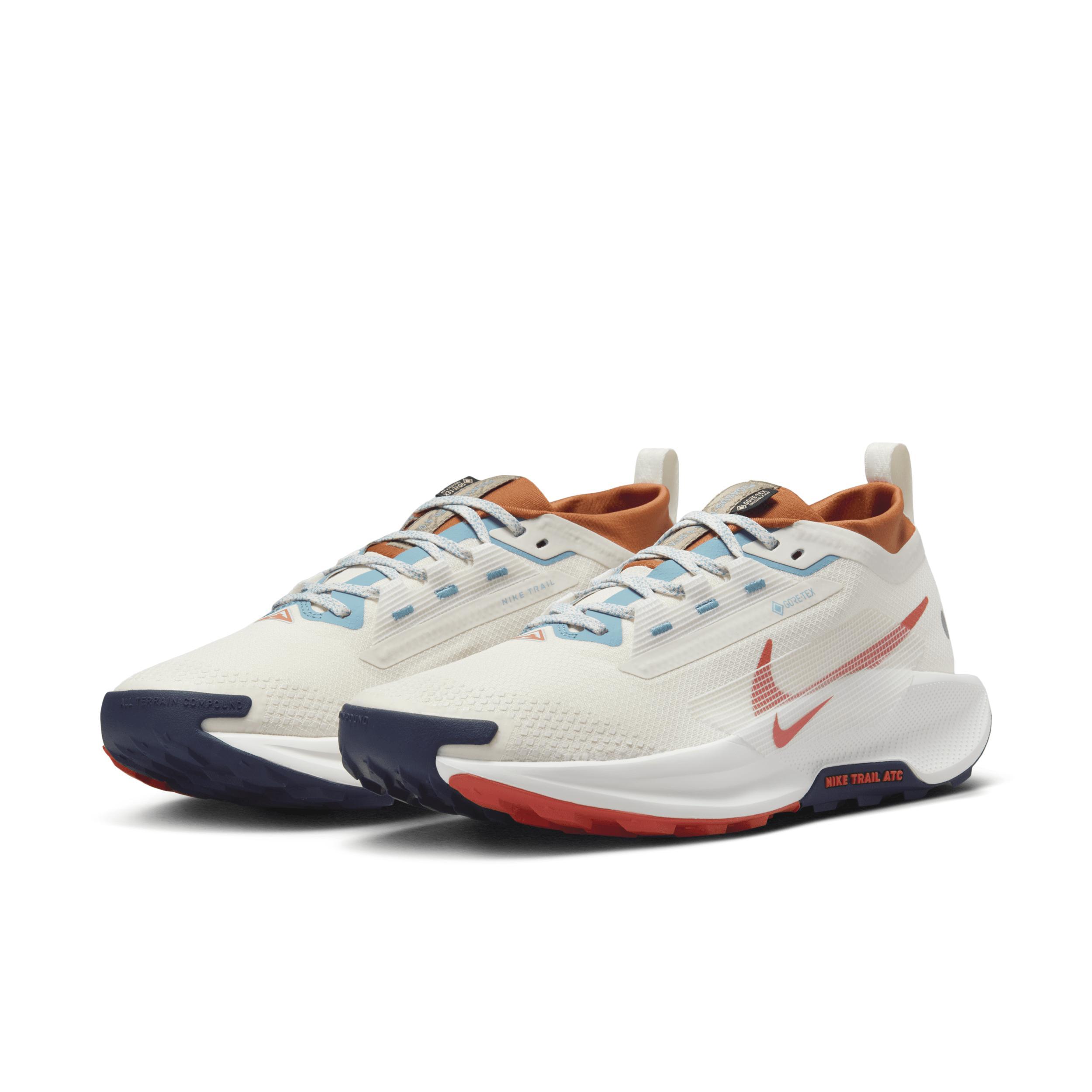 Nike Men's Pegasus Trail 5 GORE-TEX Waterproof Trail Running Shoes Product Image