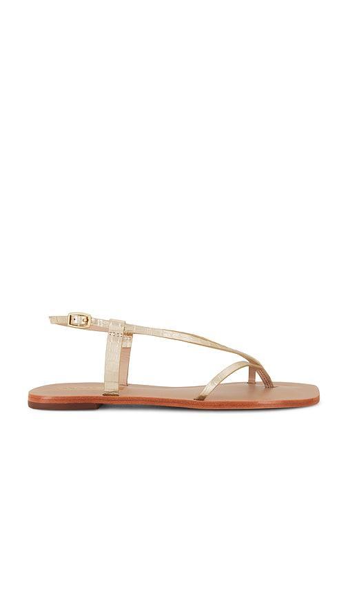 Cristobal Sandal Product Image