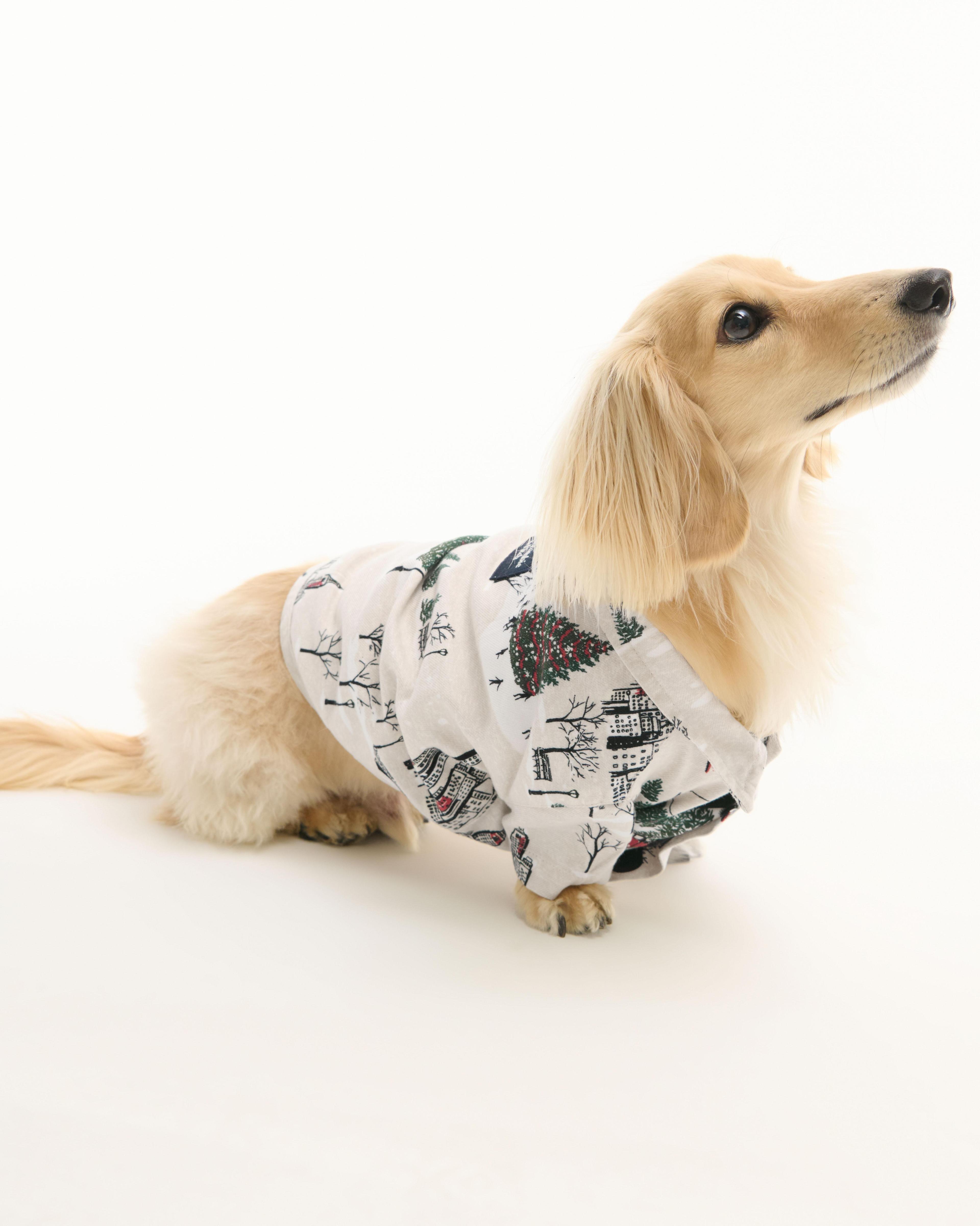 A&F Pet Flannel Product Image