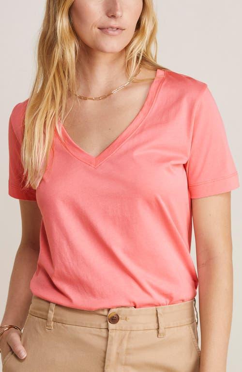 Vineyard Vines V-Neck Tee (White Women's Clothing Product Image