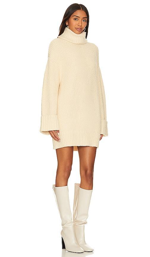 Braewyn Sweater Dress Product Image