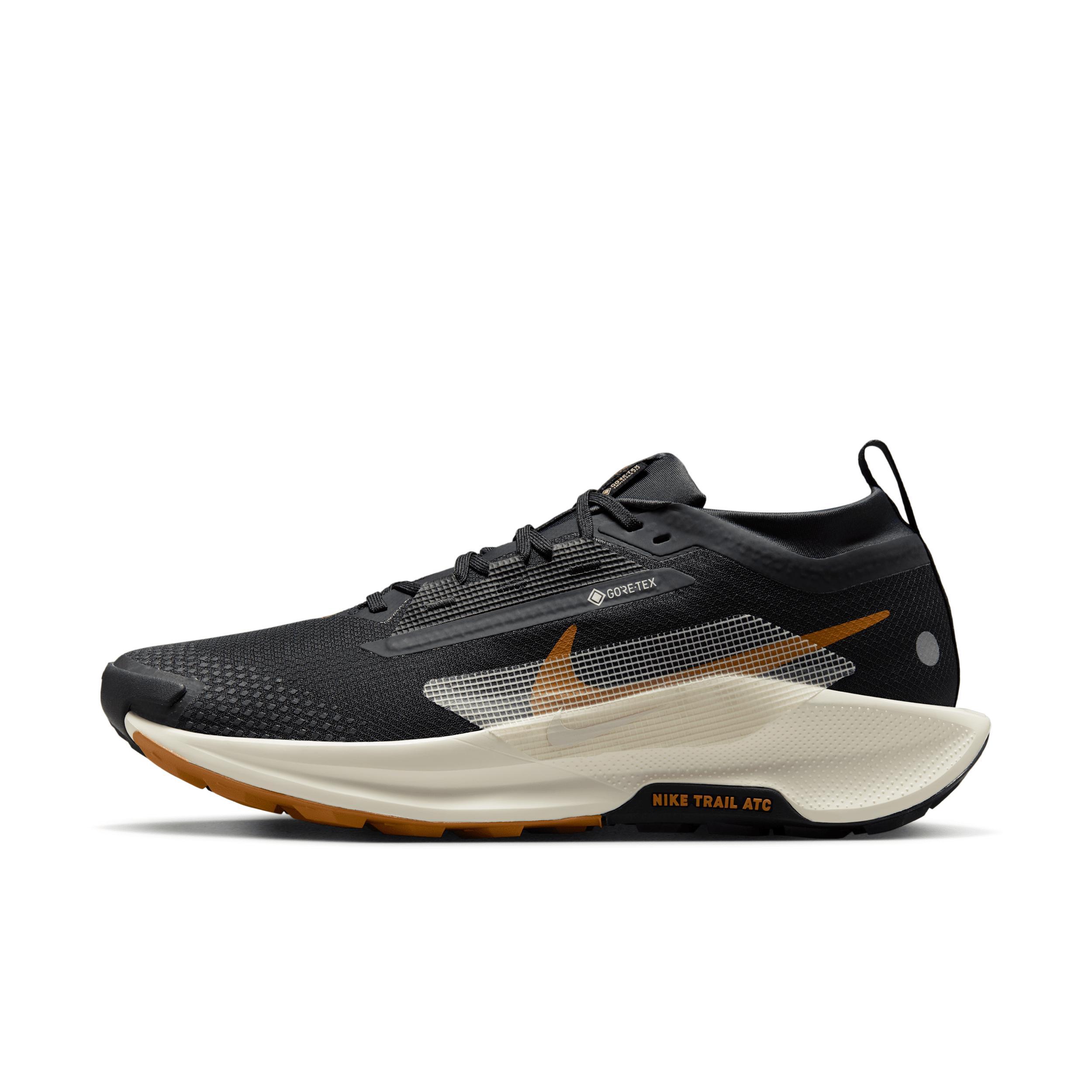 Nike Men's Pegasus Trail 5 GORE-TEX Waterproof Trail Running Shoes Product Image