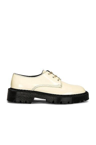 The Row Ranger Derby Sneaker in Cream Product Image