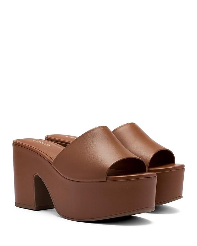 Larroud Miso Platform Sandal Product Image