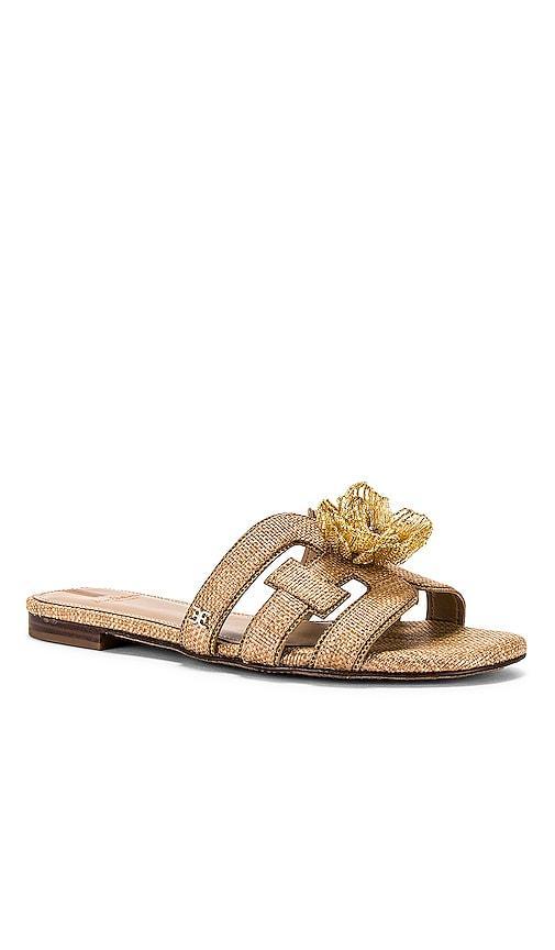 Sam Edelman Bay Flora Sandal in Tan. Size 6, 8, 8.5, 9.5. Product Image