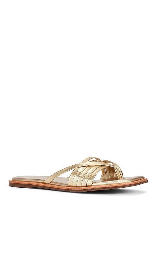 Kaanas Makian Sandal in Metallic Gold. Size 6. Product Image