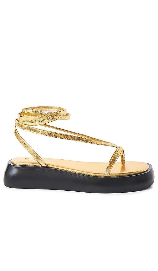 Winnie Wrap Platform Sandal Product Image