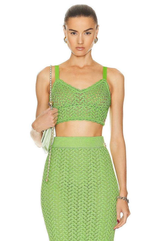 Dolce & Gabbana Knit Bra Top in Green Product Image