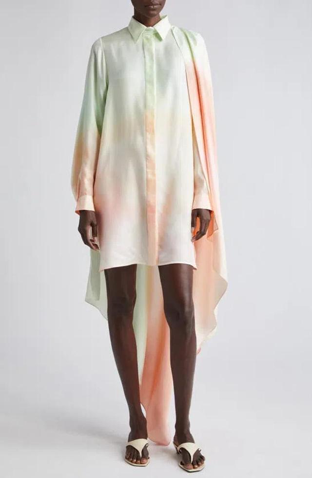 ZIMMERMANN Natura Scarf-detailed Silk Chiffon Mini Dress In Multicolor Product Image