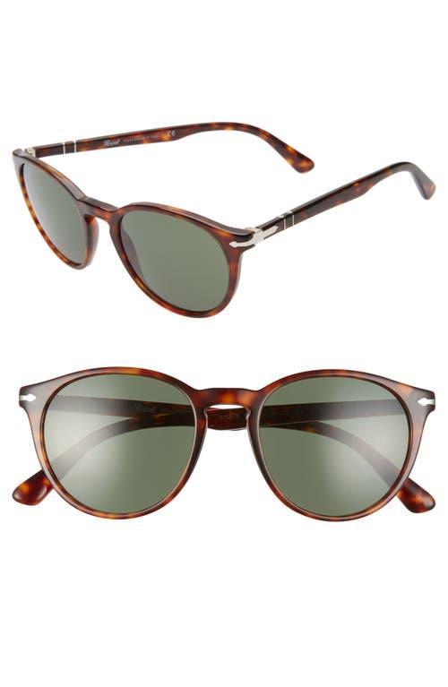 Persol 52mm Round Sunglasses Product Image