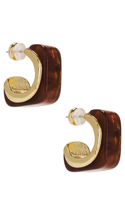 Tort Lucite Hoop Product Image