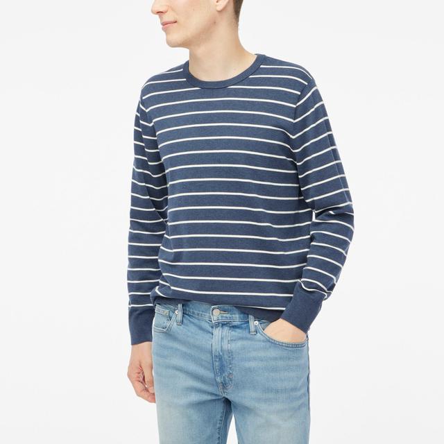 Striped cotton crewneck sweater-tee Product Image