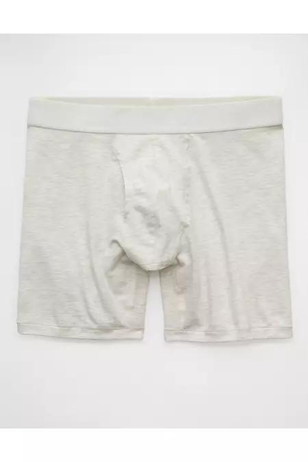 AEO Mens 6 Classic Boxer Brief Men's Product Image