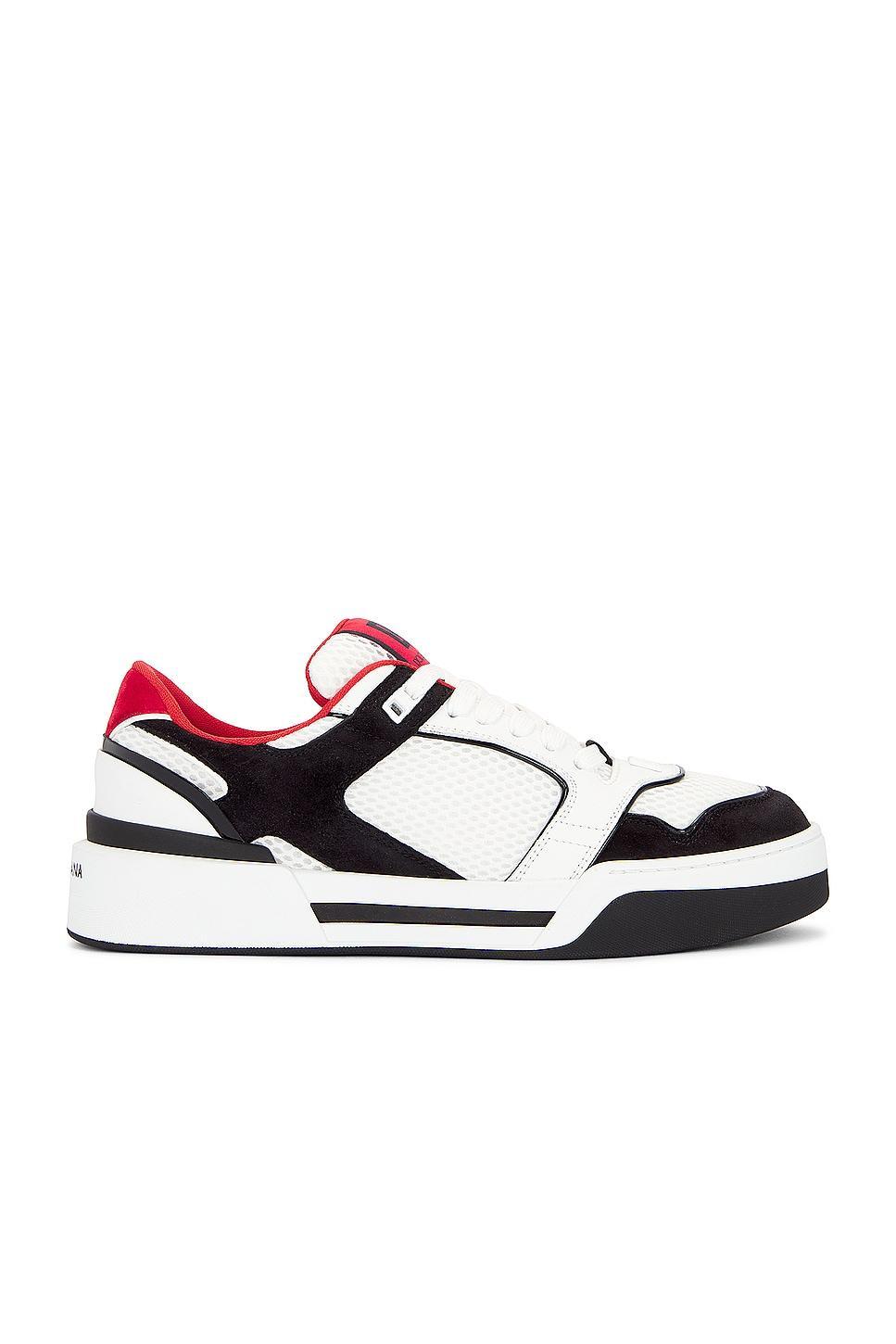 Dolce & Gabbana Crosta Mino Sneaker in Black Product Image