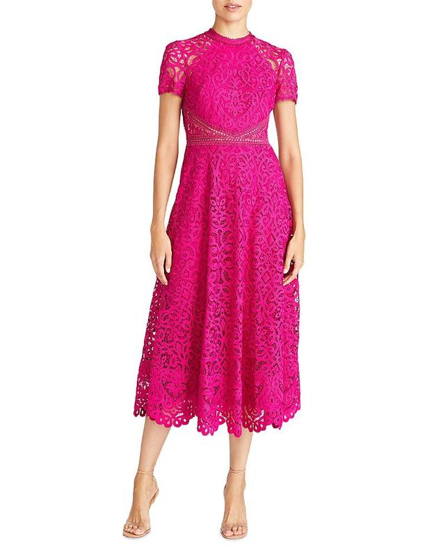 Womens Lace Short-Sleeve A-Line Midi Dress Product Image