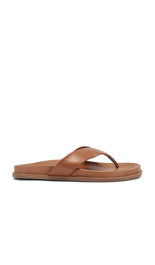 Loop Sandal Product Image