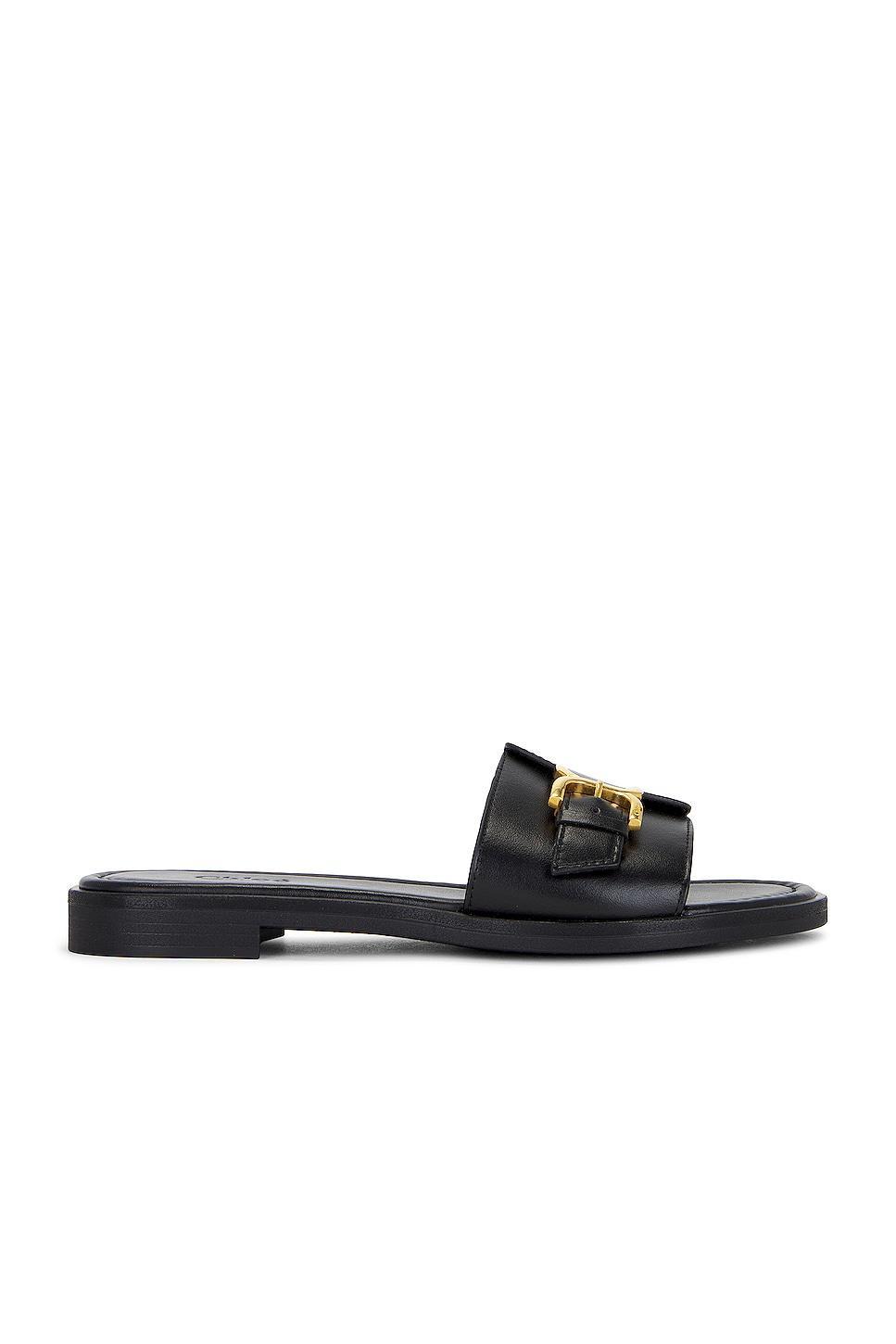 Chloe Marcie Sandal in Black - Black. Size 40 (also in 37, 38, 41). Product Image