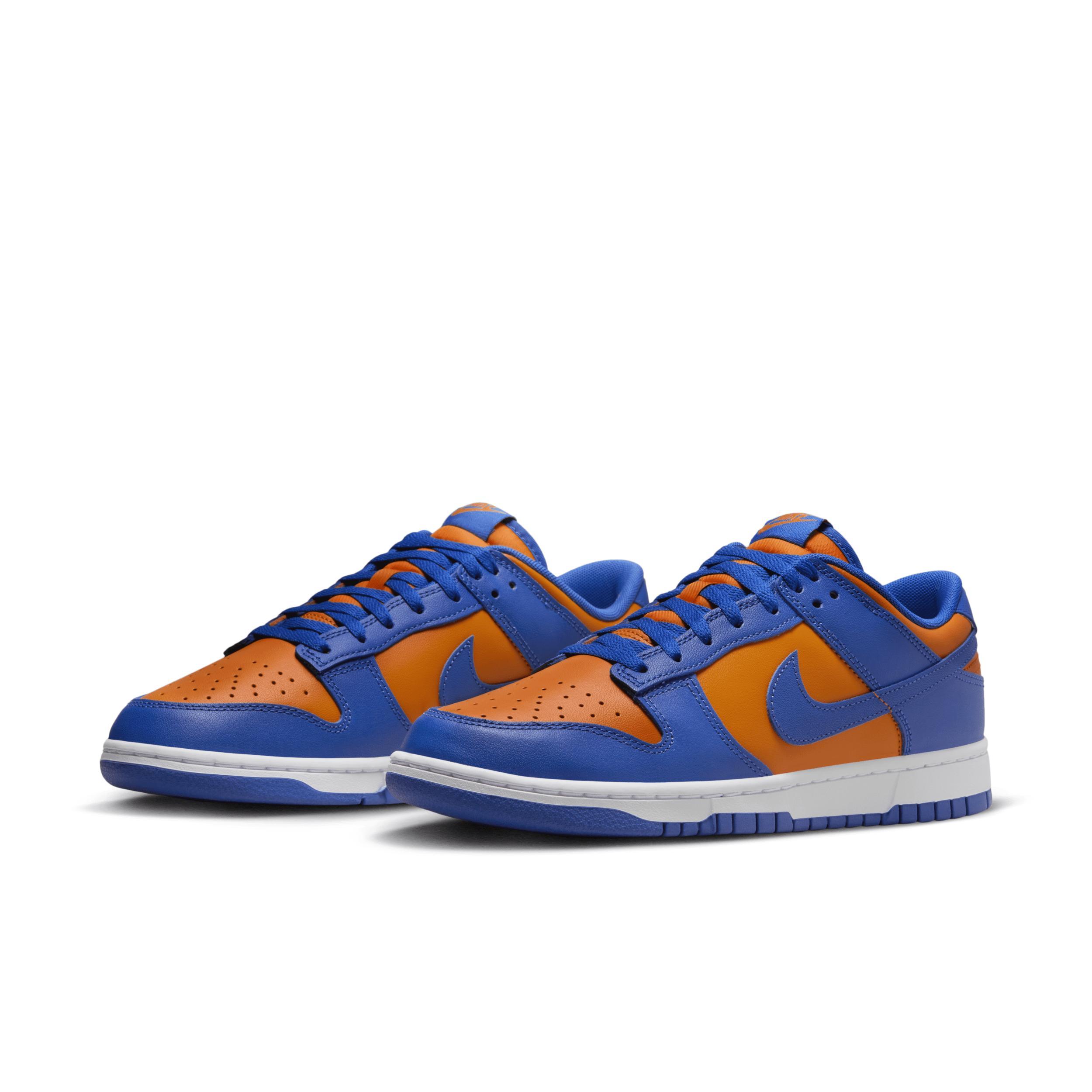 Nike Dunk Low Retro Casual Shoes (Mens Sizing) Product Image