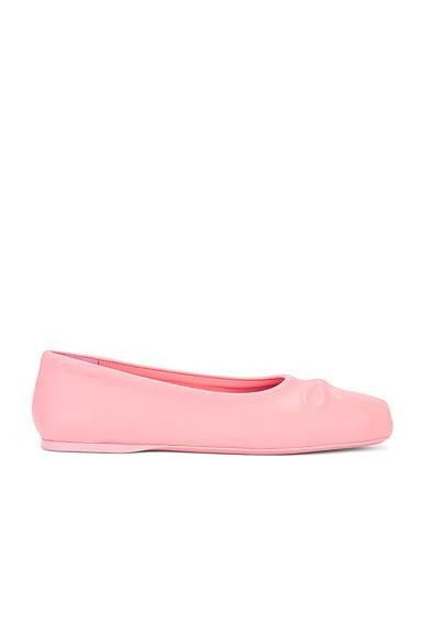 Ballet Flat Product Image