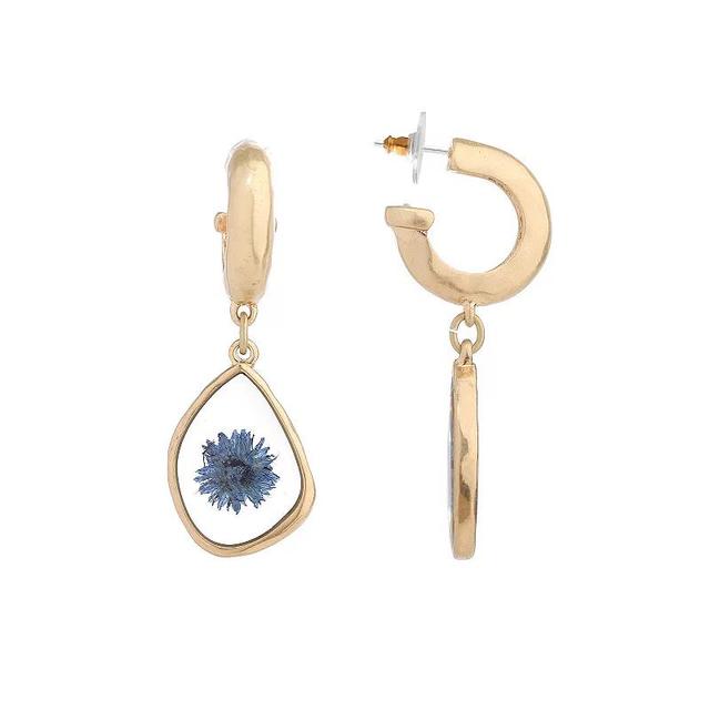 Bella Uno Worn Gold Blue Pressed Flower Charm Hoop Earrings, Womens, Gold Tone Product Image