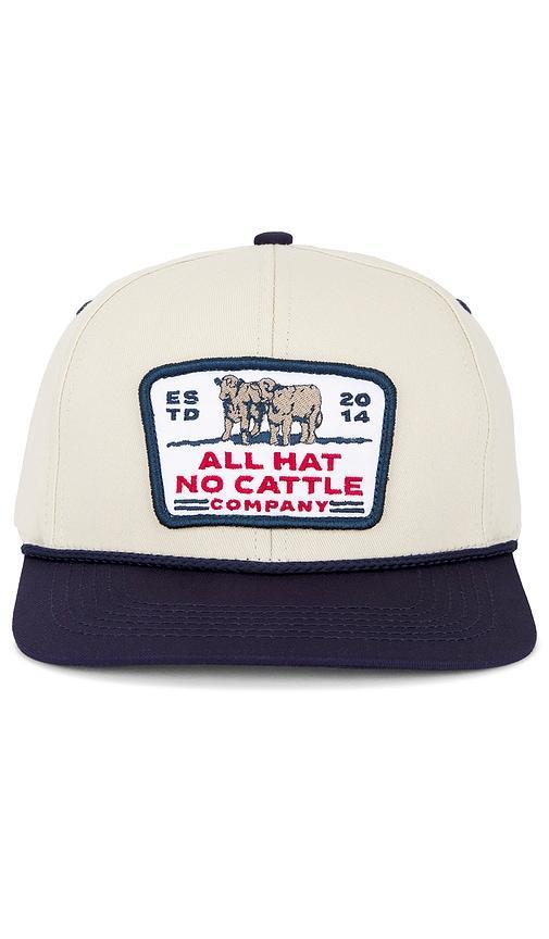 All Hat No Cattle Hat Product Image