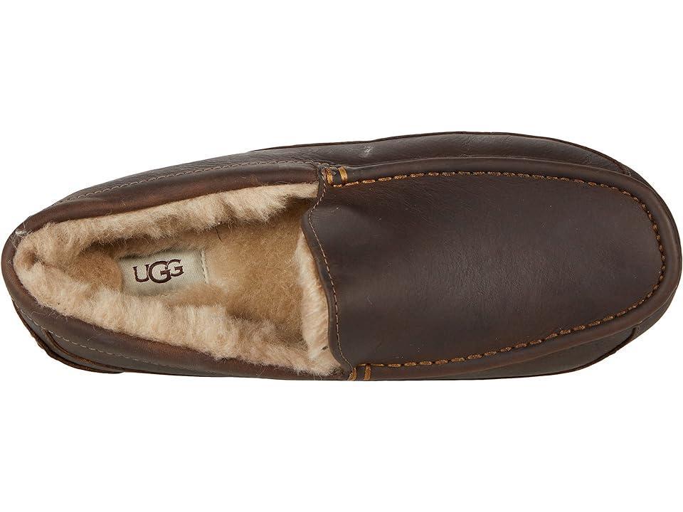 UGG(r) Ascot Leather Slipper Product Image