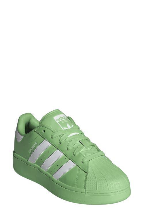 adidas Superstar XLG Sneaker Product Image