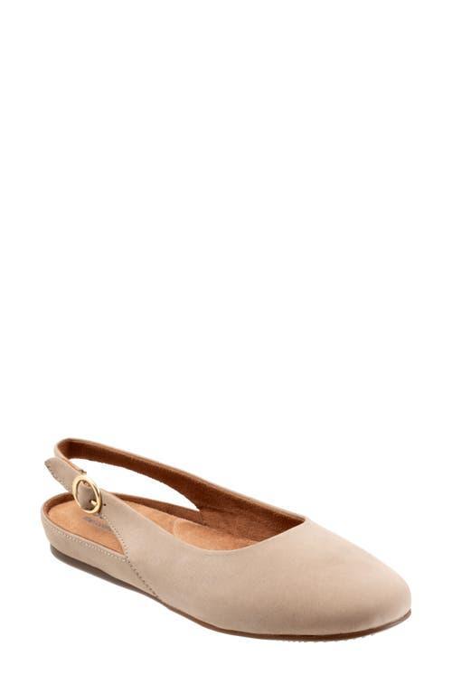 SoftWalk Sandy Slingback Flat Sandal Product Image