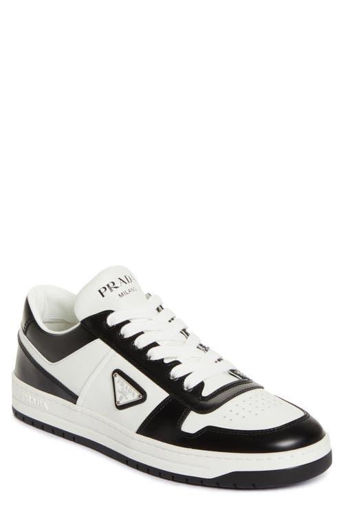 Downtown Brand-plaque Leather Low-top Trainers In Bianco Nero Product Image