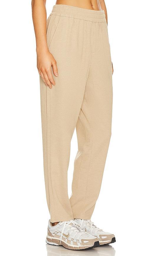 WAO Ribbed Knit Pant Brown. (also in M, XL/1X, XS). Product Image