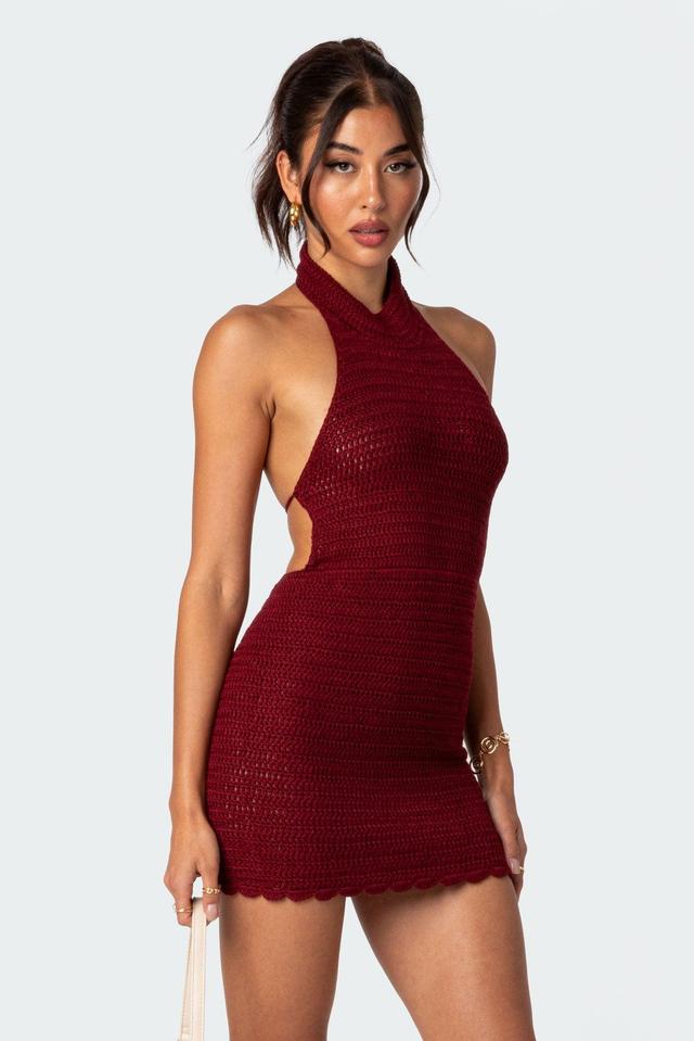 Novalie Crochet Open Back Mini Dress Product Image