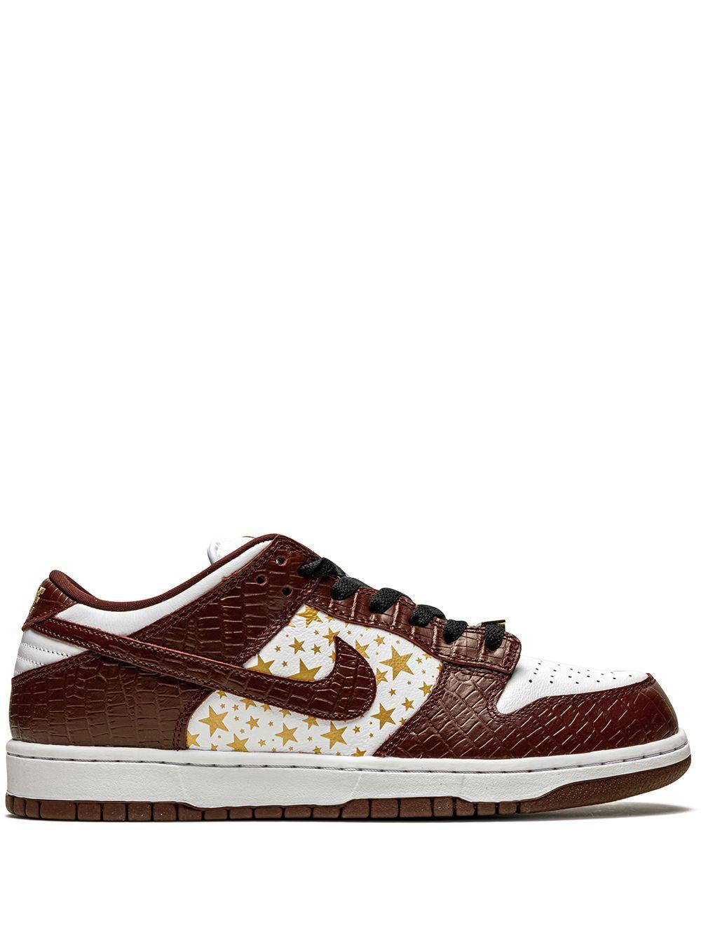 Sb Dunk Low Sneakers In Brown Product Image