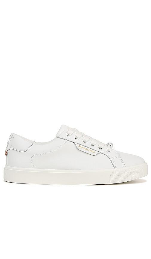 Sam Edelman Ethyl Low Top Sneaker Product Image